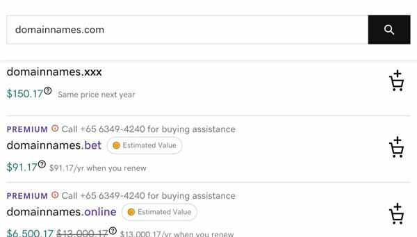 GoDaddy Domain Search.